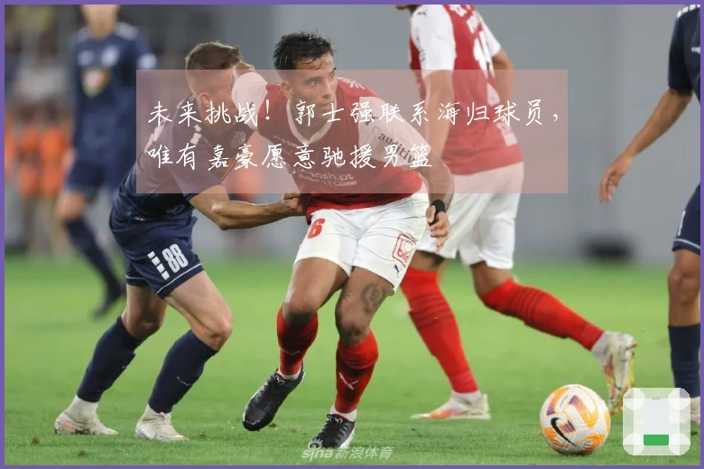 未来挑战！郭士强联系海归球员，唯有嘉豪愿意驰援男篮