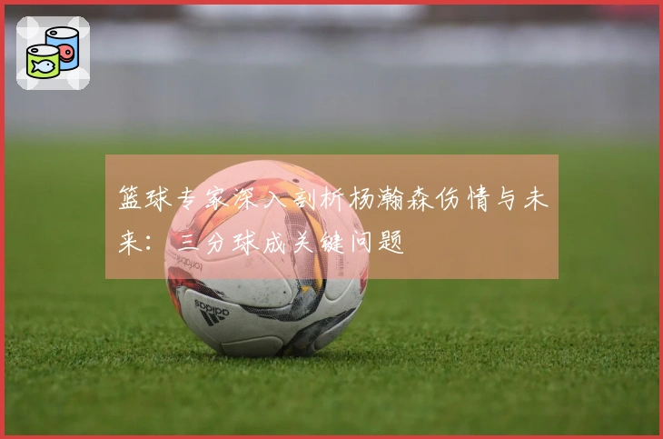 篮球专家深入剖析杨瀚森伤情与未来：三分球成关键问题